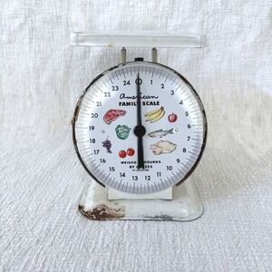 Vintage American Family Scale | 1960s‎ Kitchen Scale | Mid Century Pantry Decor